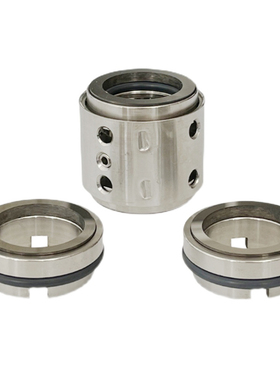 BESPLE 202a-25/30/35/40/45/50/55化工泵不锈钢水泵氟胶合金密封