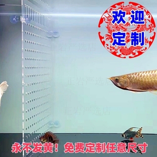 鱼缸内隔离网鱼缸混养隔离网生小鱼专用分离式隔板繁殖小鱼苗产房