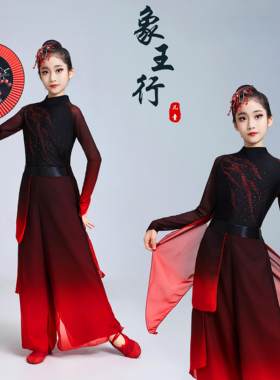 象王行舞蹈服装古典舞演出服女
