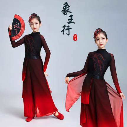 古典舞演出服女飘逸儿童中国风象王行舞蹈服装小学生破阵乐表演服