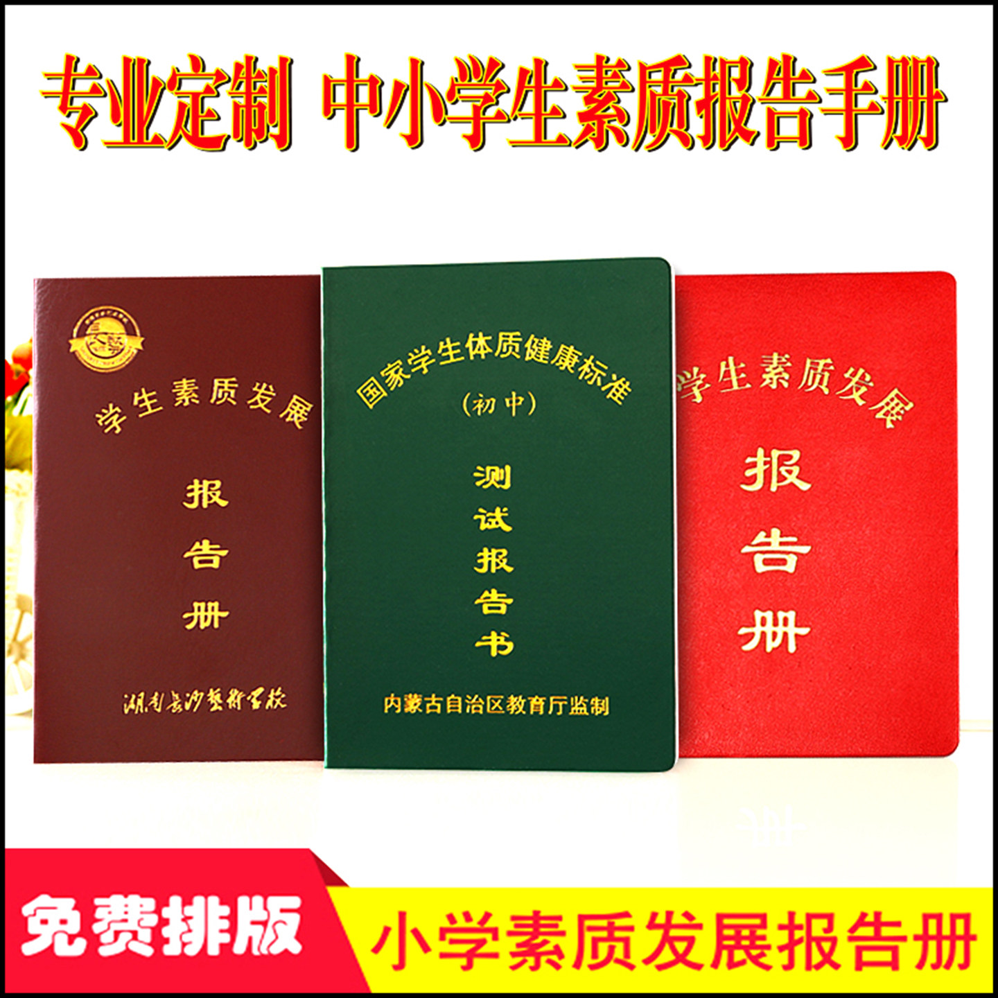 学生素质报告册定做评价发展手册