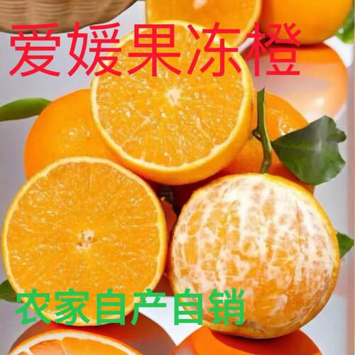 四川爱媛38号果冻橙自产自销农家新鲜当季孕妇水果橙橘子大果包邮