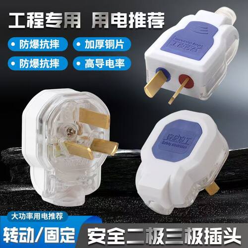 纯铜大功率10A二插头三脚二极