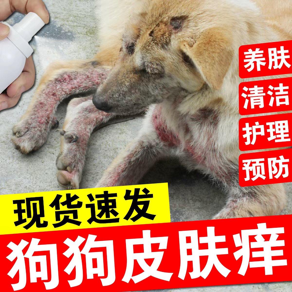 狗狗皮肤病专用药严重真菌感染治疗狗癣猫癣特效药溃烂化脓掉毛