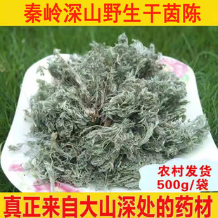 新货茵陈绵茵陈中草药三月茵陈草 白篙茵陈茶500克干茵陈