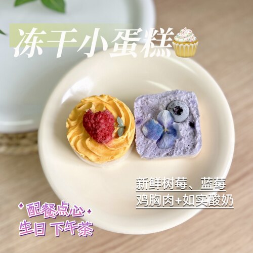 冻干酸奶块蓝莓树莓鸡胸肉