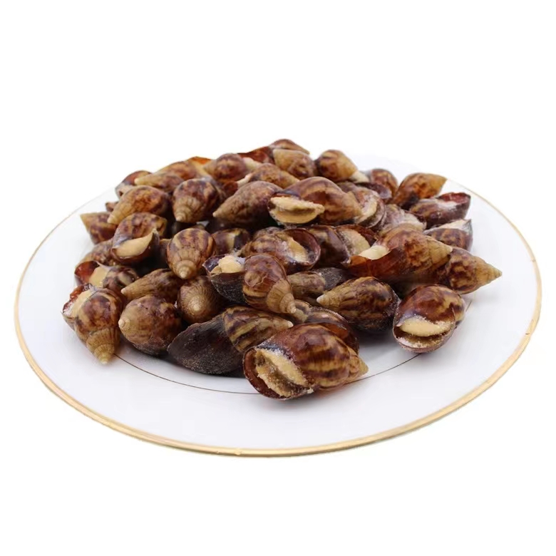水产特产蜗牛肉烧烤食材
