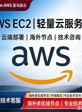 aws亚马逊稳定云服务器租用香港美国新加坡官方独立账号宝塔建站