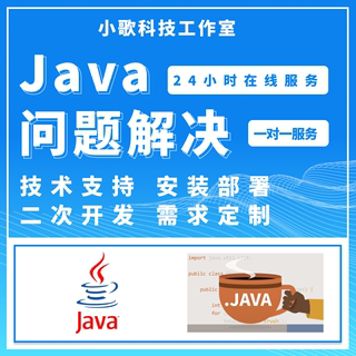 java代码调试SSM项目VUE问题解决运行讲解安装部署配置答疑代做