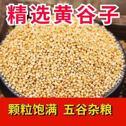 新黄谷子虎皮玄凤牡丹食物中小型鹦鹉鸟粮食带壳小米