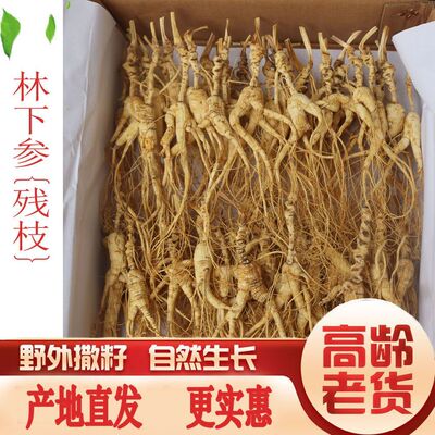高龄野外林下籽山参残参干货煲汤