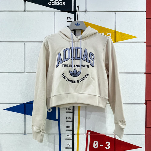 春季新款休闲运动连帽宽松套头衫