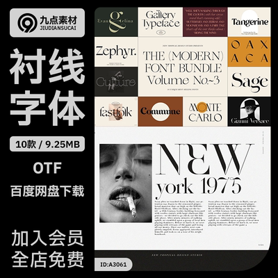 10套轻奢英文字体包酸性衬线设计杂志海报Logo标题专用素材