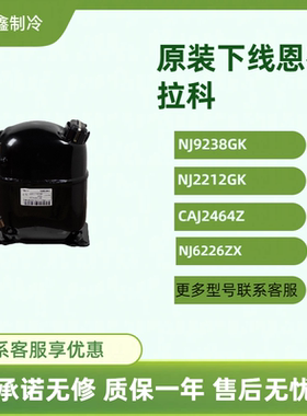 适用于恩布拉科NJ9226E NJ2212GK NJ9232E NJ9238GK冰柜压缩机