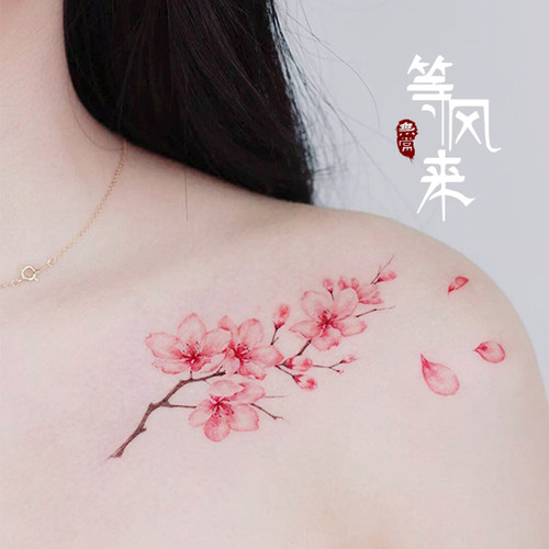 仙女锁骨彩色纹身贴墨印记防水