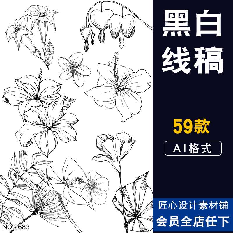 黑白简约线稿热带花卉植物叶子创意手绘ai矢量插画背景设计素材图