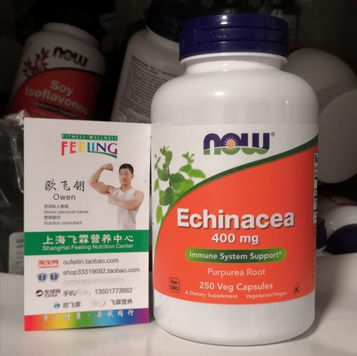 保护免疫紫松果菊根NOW