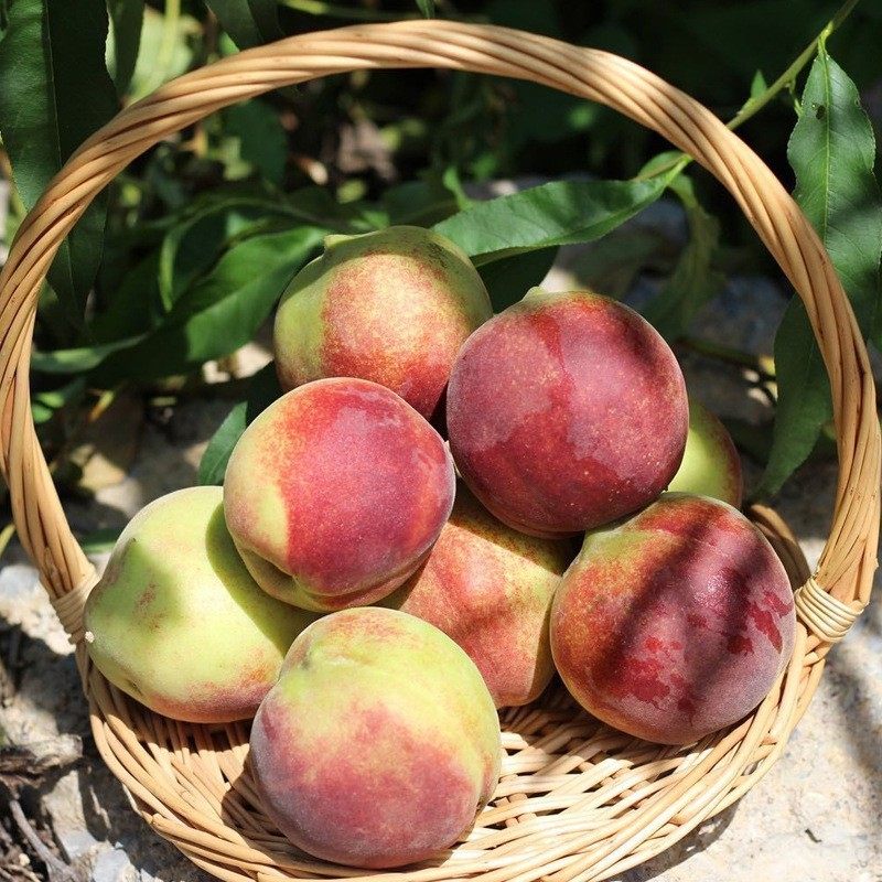 【活动】云南冬桃代发3/5斤脆甜