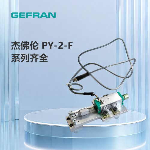 议价GEFRAN杰佛伦PY-2-F- 010-S01M-XL02