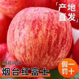 烟台红富士苹果10应当季斤新鲜水果整箱山东栖霞脆甜冰糖心丑平果