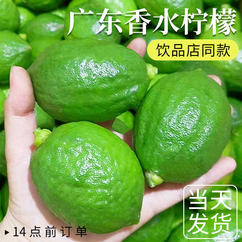 正宗广东香水柠檬一级特大果应当季新鲜水果无籽青奶茶店专用9斤