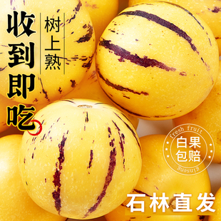 云南石林人参果10新鲜应当季水果七彩整箱人心斤人叁黄肉人生包邮
