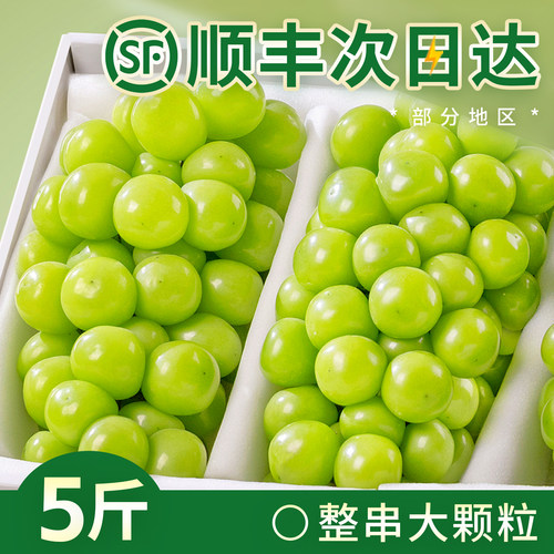 阳光玫瑰5斤！大颗粒！更过瘾！