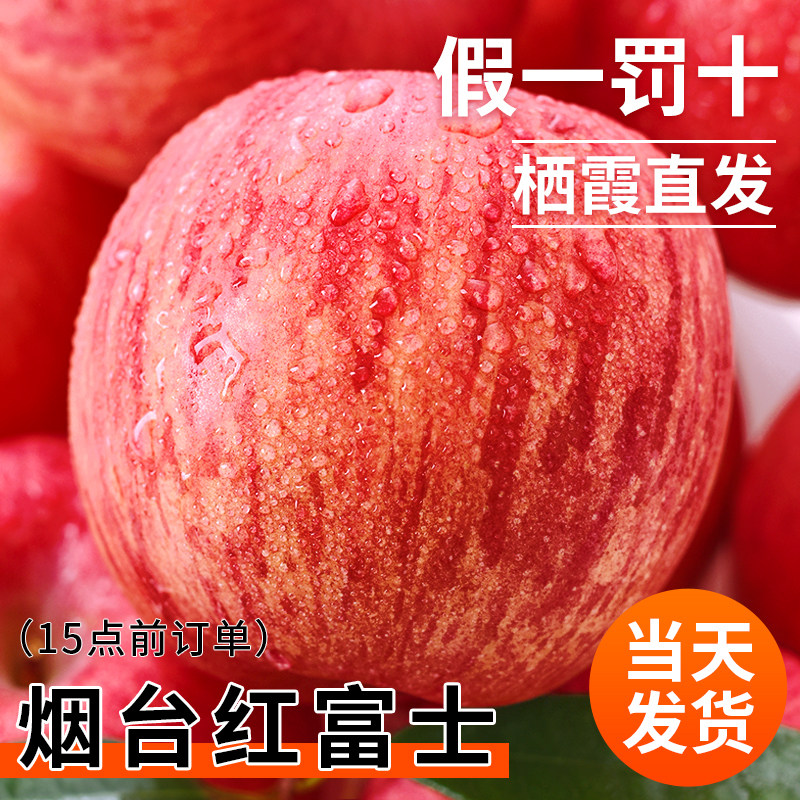 烟台红富士苹果10应当季斤新鲜水果整箱山东栖霞脆甜冰糖心丑平果