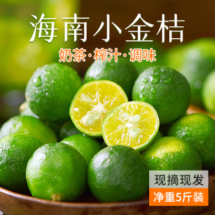 海南小金桔新鲜青柠檬青柑皮薄应季 水果柠檬新鲜整箱5斤金橘 当季
