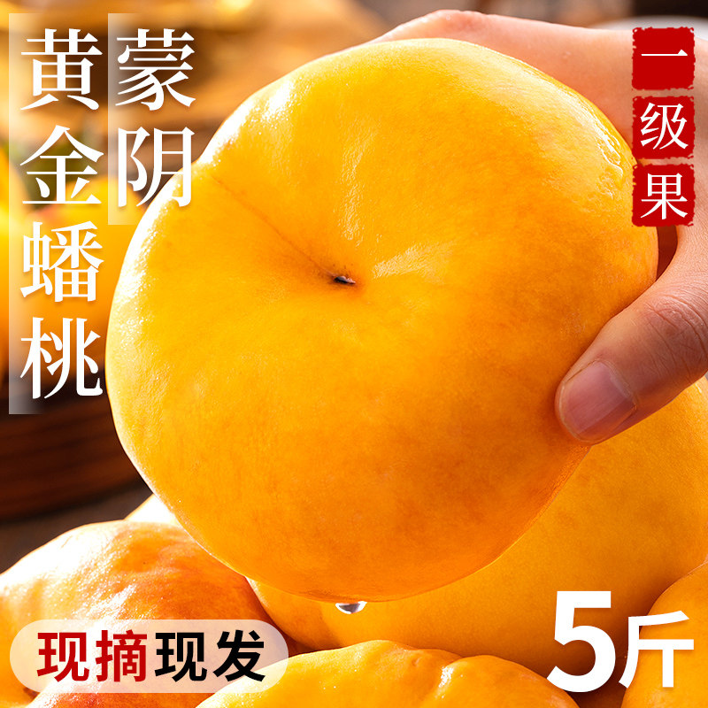 蒙阴黄金蟠桃5斤新鲜当季整箱黄肉毛桃现摘手撕扁桃孕妇水果包邮