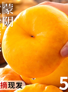 蒙阴黄金蟠桃5斤新鲜当季整箱黄肉毛桃现摘手撕扁桃孕妇水果包邮