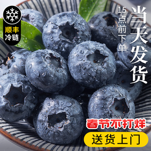 云南蓝莓新鲜水果当季蓝梅鲜果现摘L25花香高山孕妇整箱顺丰包邮