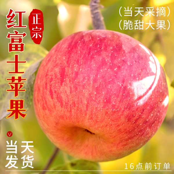 正宗陕西红富士苹果现摘冰糖心新鲜水果应当季10斤山大丑萍果整箱
