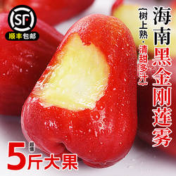 海南黑金刚莲雾水果新鲜特产热带水果当季中果黑珍珠莲雾带箱包邮