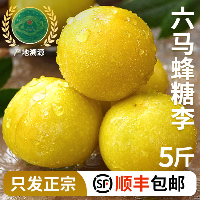 正宗贵州六马蜂糖李5斤蜂蜜李新鲜当季水果整箱包邮现摘脱骨李子