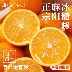 湖南麻阳冰糖橙新鲜橙子10水果当季正宗整箱果冻冰糖甜橙手剥现摘
