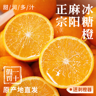 湖南麻阳冰糖橙新鲜橙子10水果当季正宗整箱果冻冰糖甜橙手剥现摘