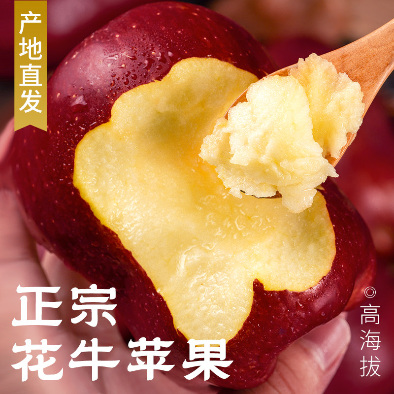 【官方推荐】正宗天水花牛苹果！图片