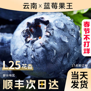 云南蓝莓新鲜水果当季蓝梅鲜果现摘L25花香高山孕妇整箱顺丰包邮