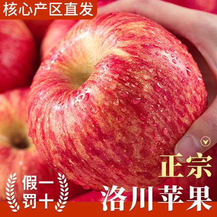 正宗洛川红富士苹果现摘冰糖心新鲜水果应当季陕西大丑萍果整箱