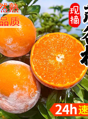 茂谷柑当季整箱5斤新鲜水果时令沃柑脏脏柑石灰柑桔子橘子包邮