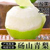 主图