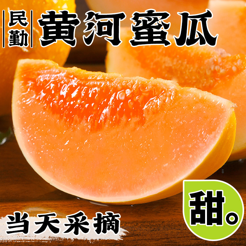 正宗黄河蜜瓜，是甜瓜也是哈密瓜