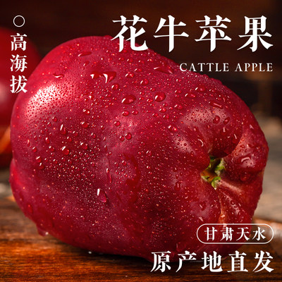 【官方推荐】正宗天水花牛苹果！