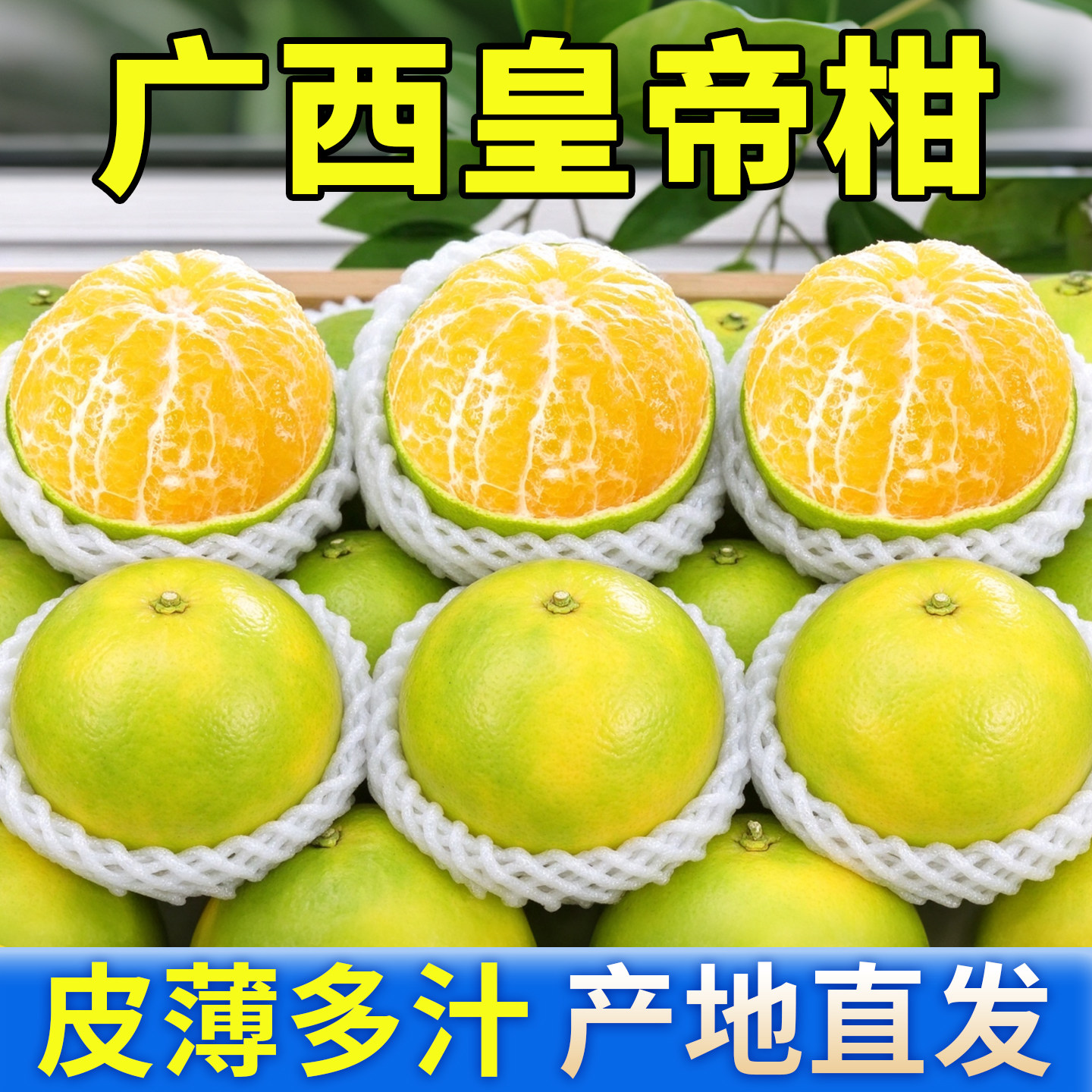 【官方推荐】正宗广西皇帝柑大果