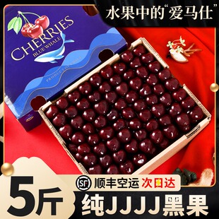 智利车厘子1-5J当季新鲜大果5斤装顺丰包邮果肉饱满进口大樱桃
