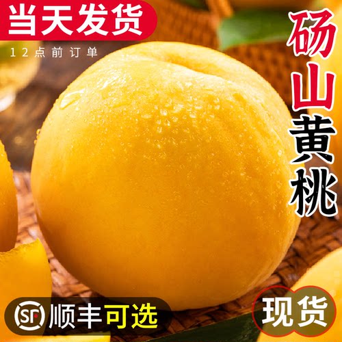 【顺丰可选】砀山黄桃！脆甜！