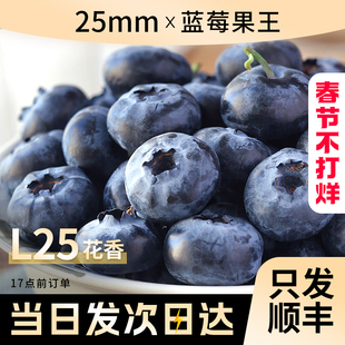 正宗蓝莓新鲜水果当季蓝梅鲜果现摘高山怡颗孕妇大果整箱顺丰包邮
