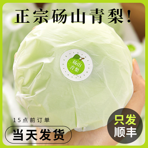 正宗砀山梨，只发大果，当天发货