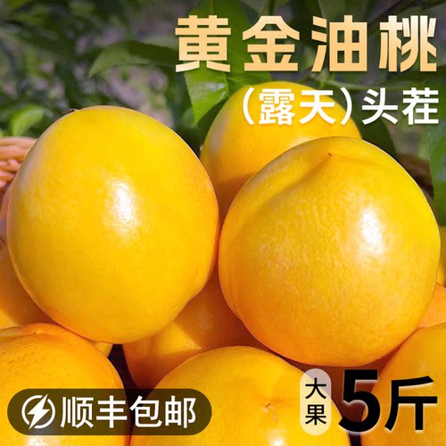 顺丰包邮|露天头茬|脆甜油桃！